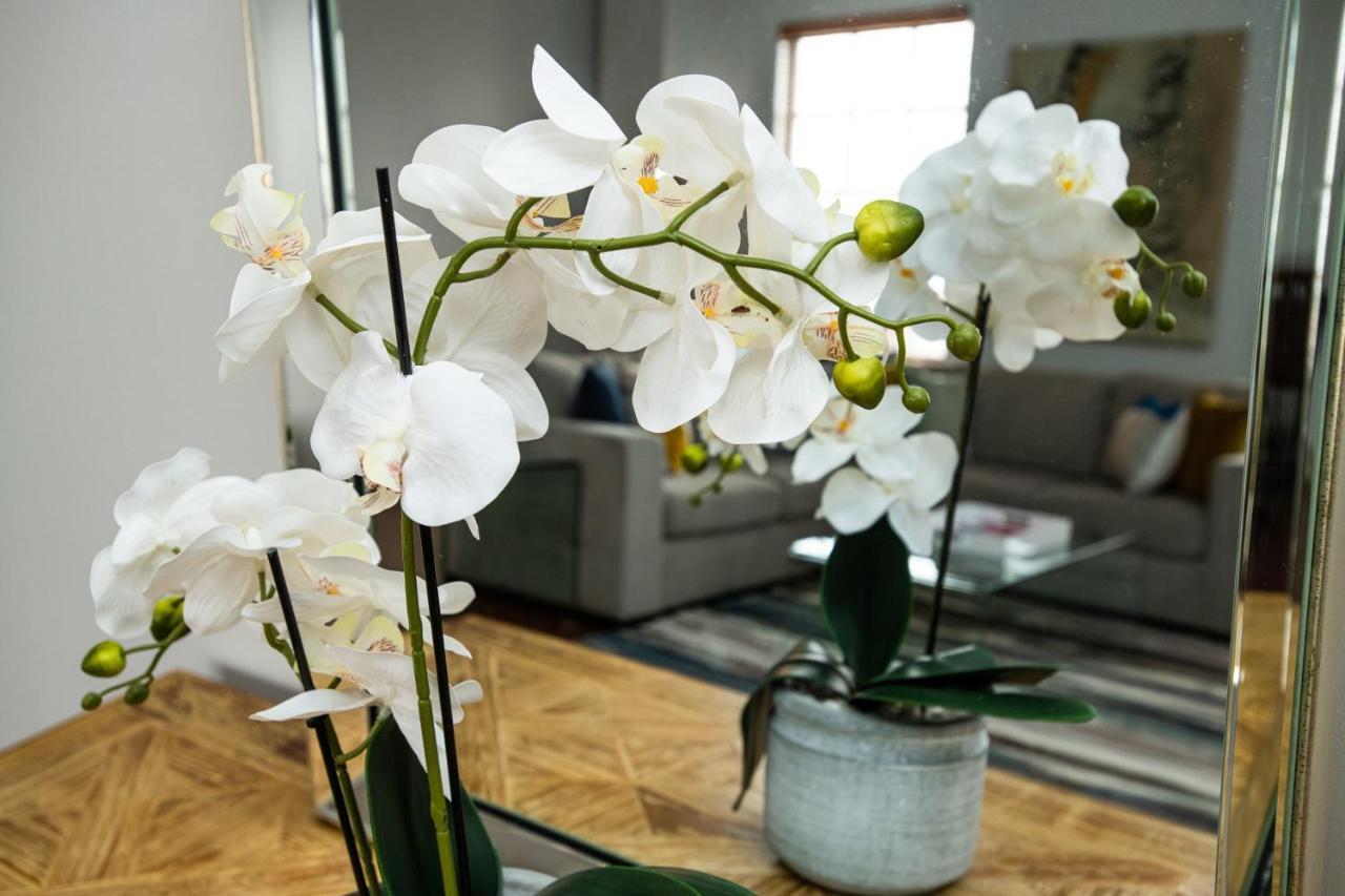 New French Quarter Delight 13 Apartment New Orleans Ngoại thất bức ảnh