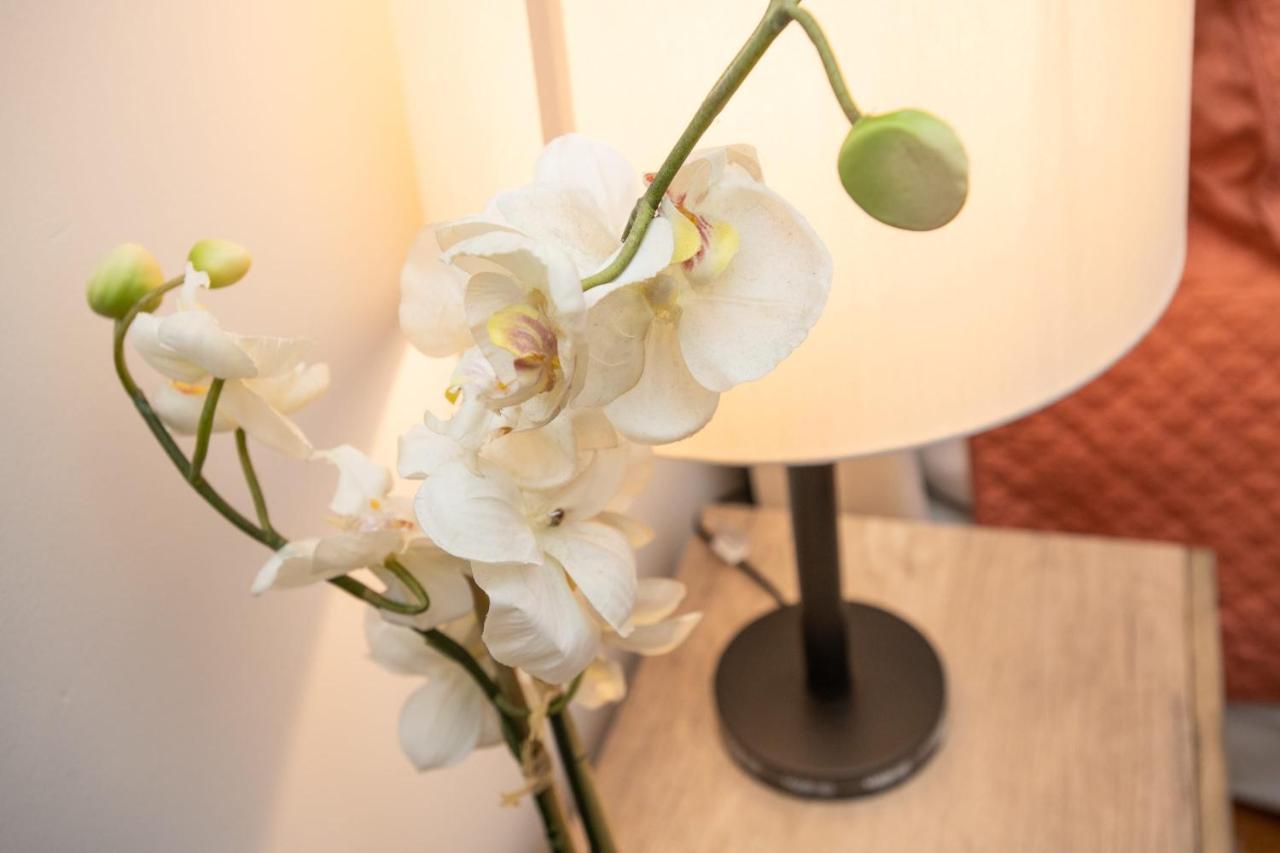 New French Quarter Delight 13 Apartment New Orleans Ngoại thất bức ảnh